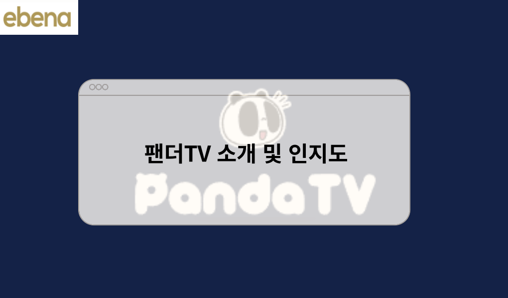 팬더TV 소개 및 인지도