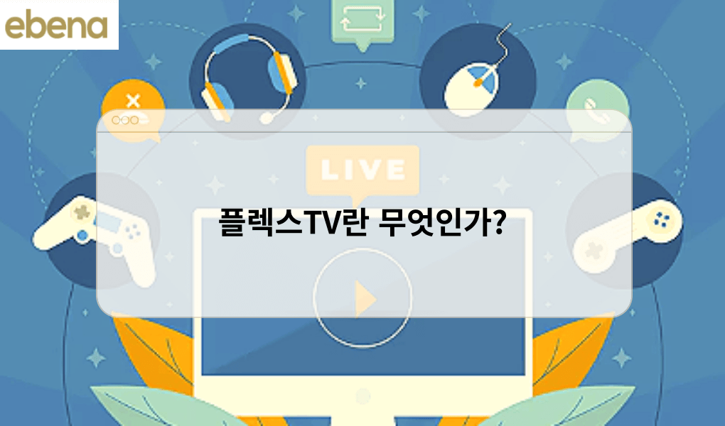 플렉스TV란 무엇인가?