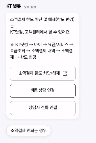 다날소액결제