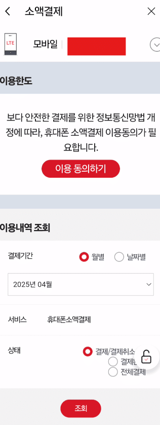 다날소액결제