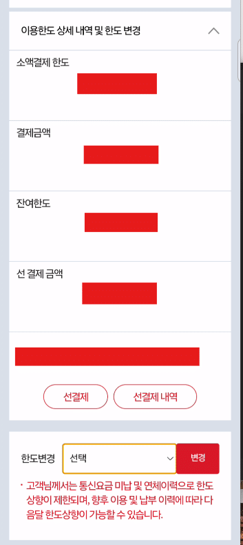 다날소액결제